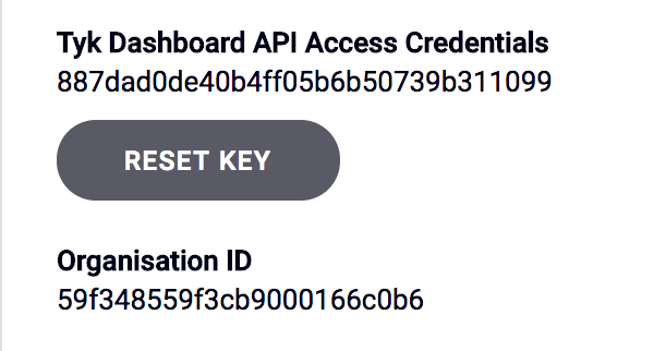 API key location