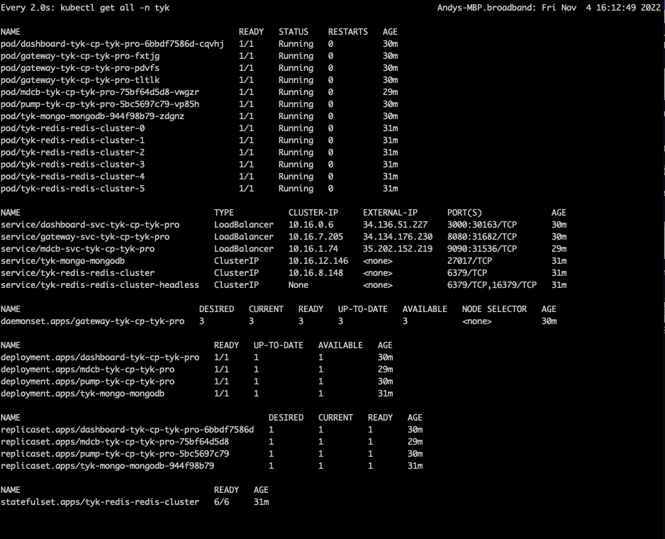 observe Tyk K8s namespace console output