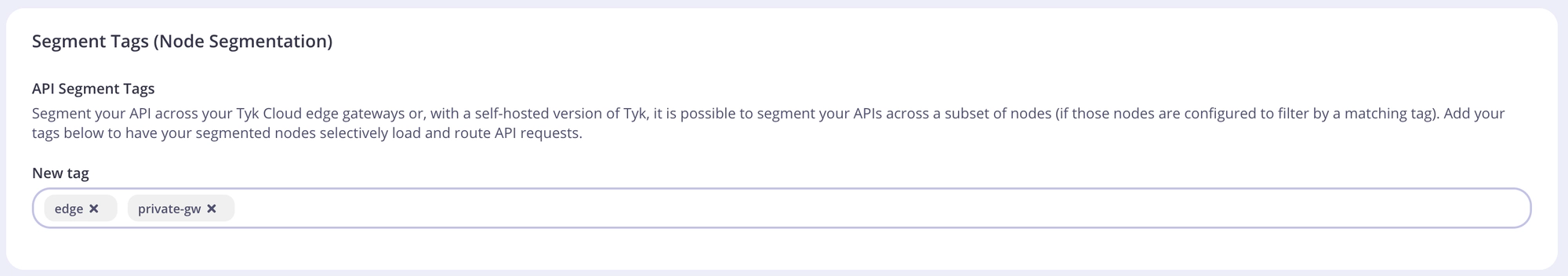 Segment tags section