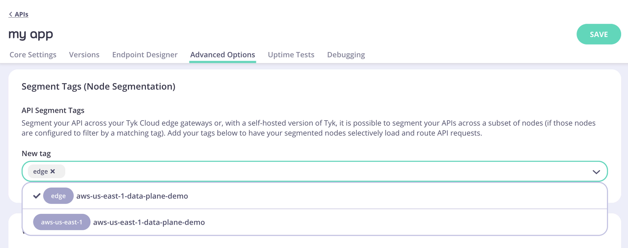 Segment Tags