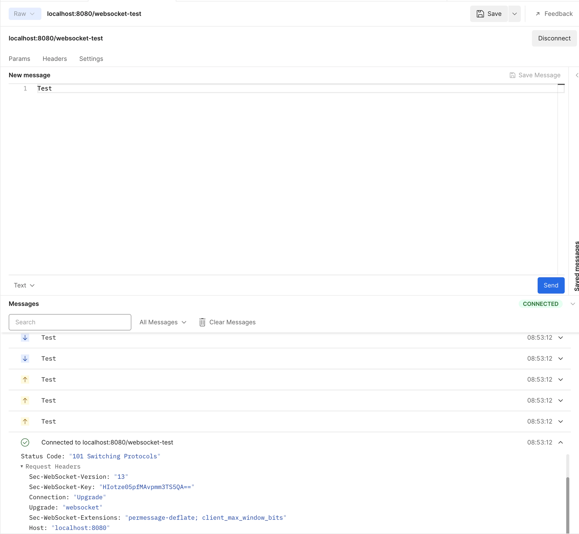 Postman WebSocket Connection Result