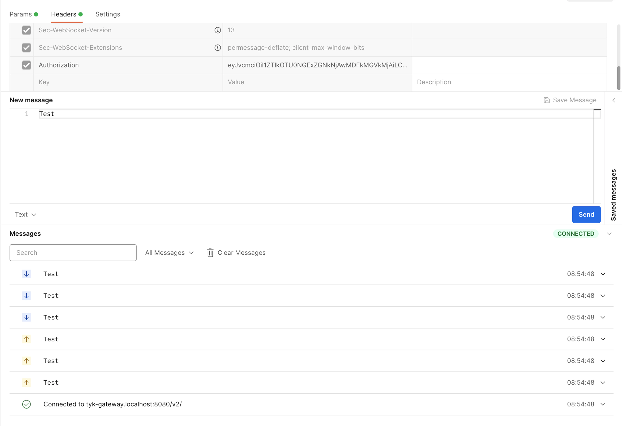 Postman WebSocket Connection Result with Authorization token