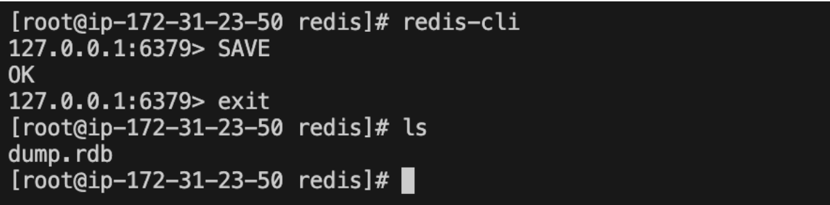 Redis SAVE example