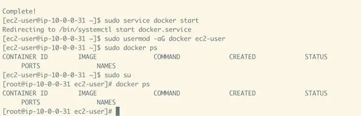 Command line code screenshot of Install Docker on your EC2 instances