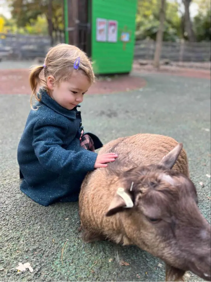 Remote working and flexibility kid with animal