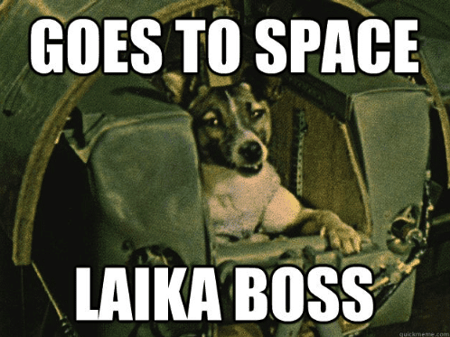 Goes to space laika boss