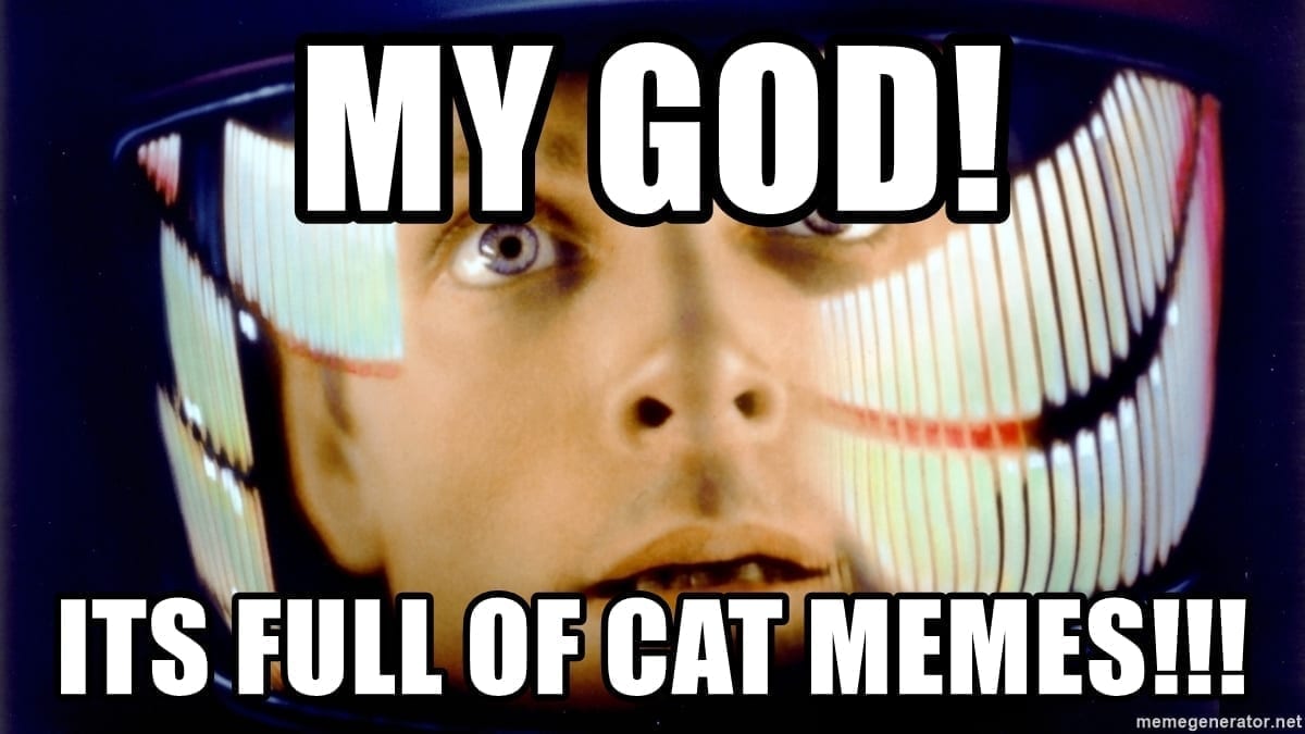 Oh my god, it's full of cat memes