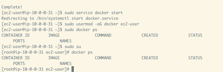 Command line code screenshot of Install Docker on your EC2 instances