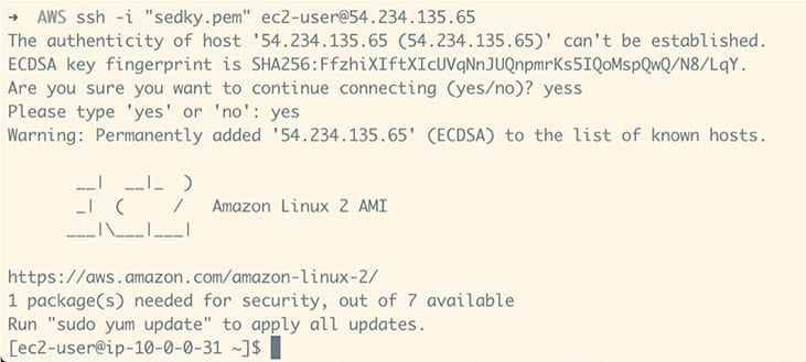 Command line screenshot of SSH into the upstream EC2 instance