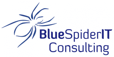 BlueSpider IT Consulting